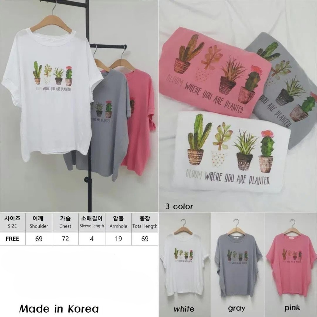 特價四種植物字母連袖棉T
