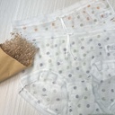 高質感蠶絲點點英字抗菌內褲韓製