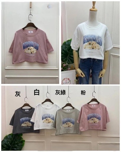 拉不拉多寶寶好Q短版T