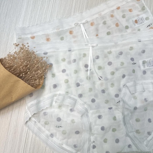 [H4502] 高質感蠶絲點點英字抗菌內褲韓製