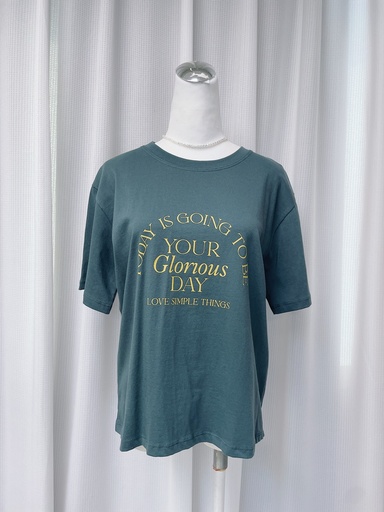 [DD302] 超舒服英字短T